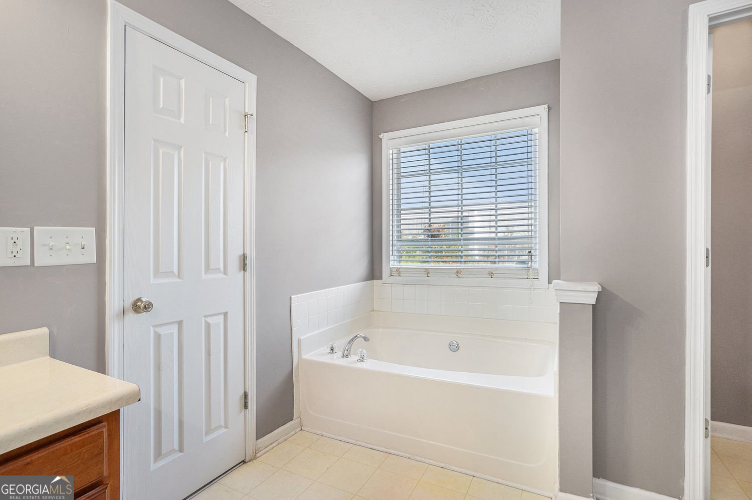 7492 Ferrara Drive Lithonia - 19