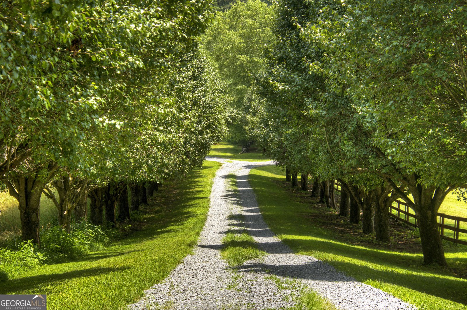 311 Bailey Farm Lane Mineral Bluff - 46