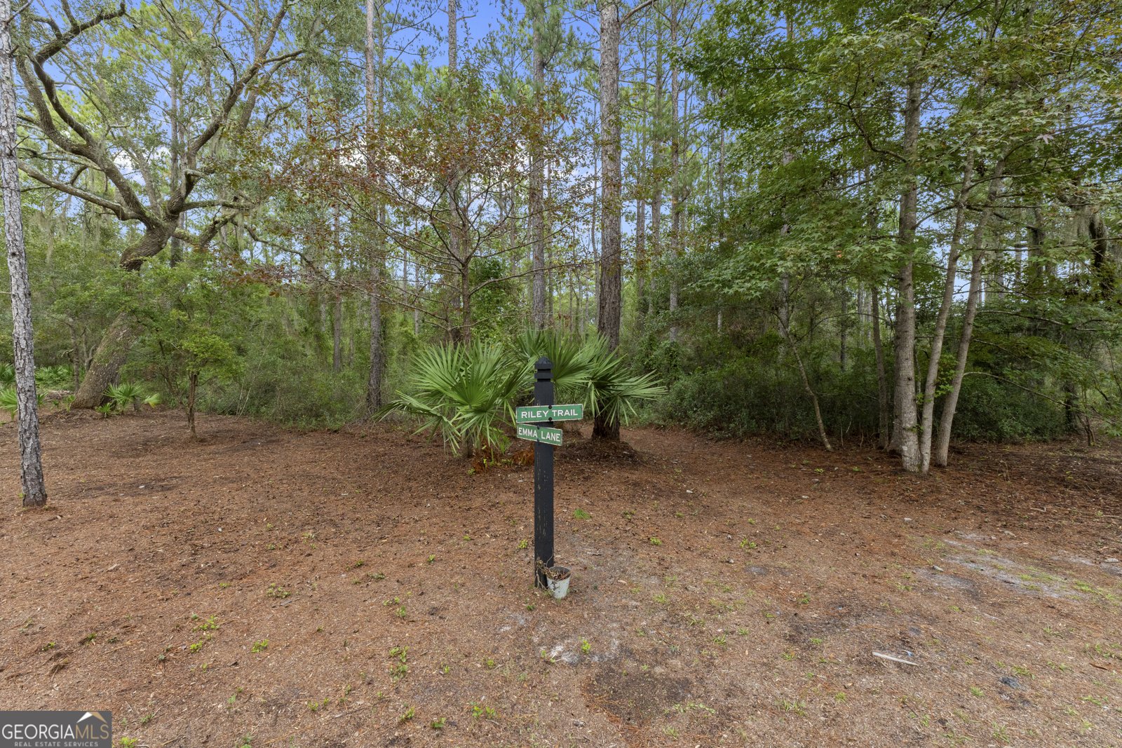 1334 Emma Lane Townsend - 14