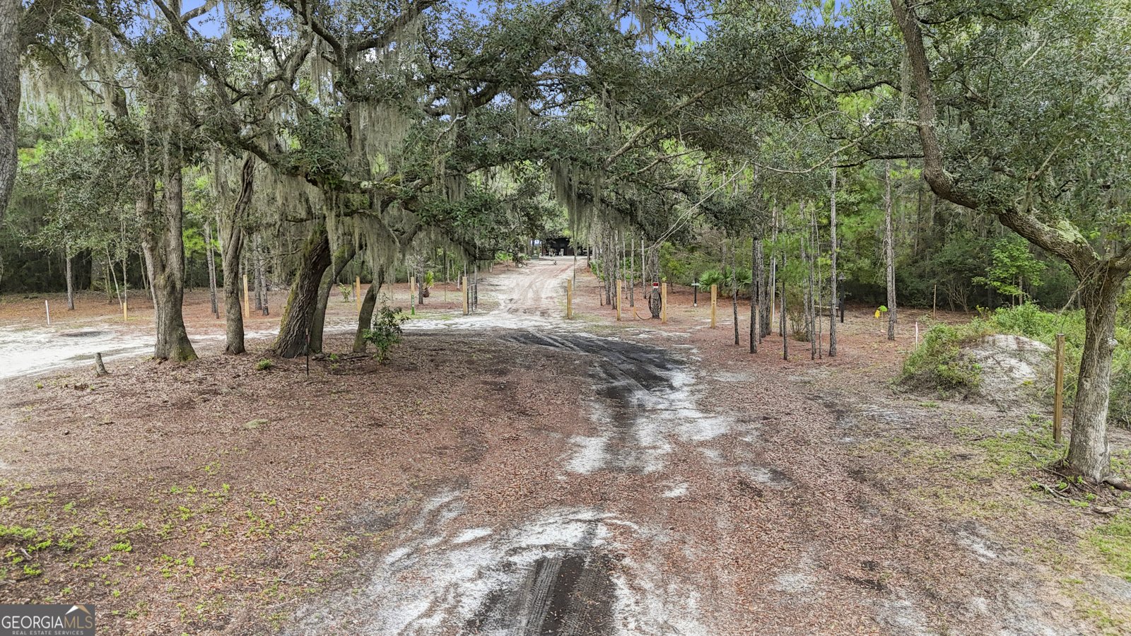 1334 Emma Lane Townsend - 16