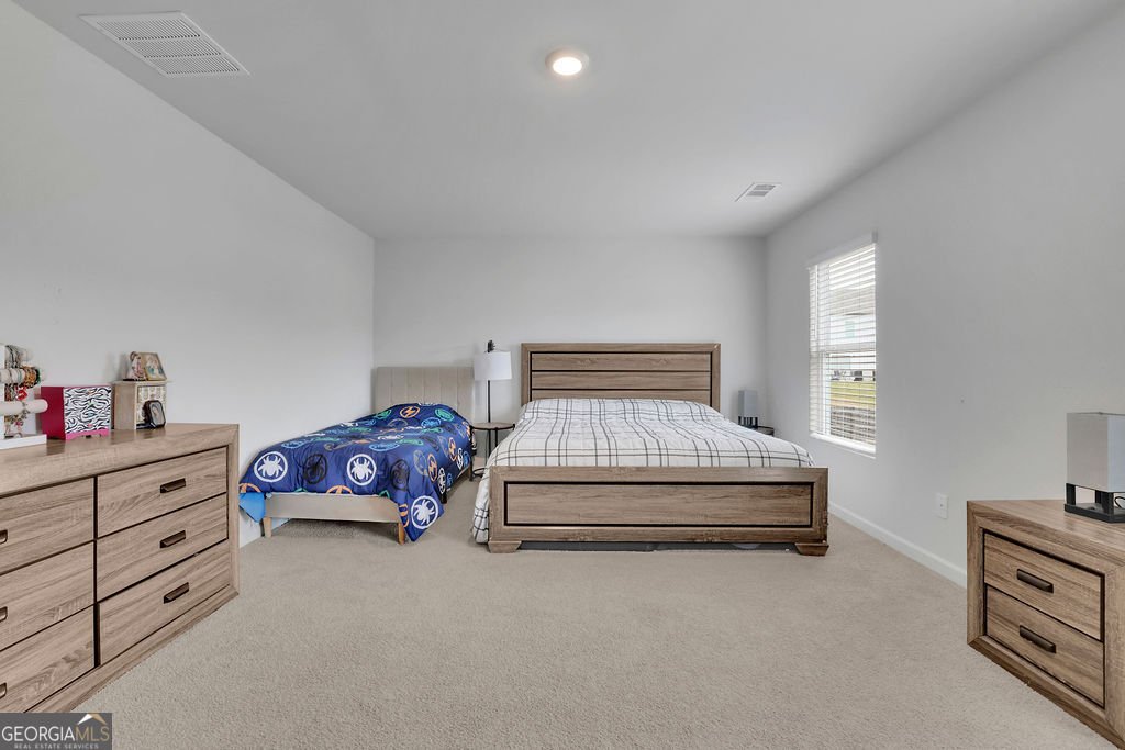 46 Fernbrook Trail Dawsonville - 20