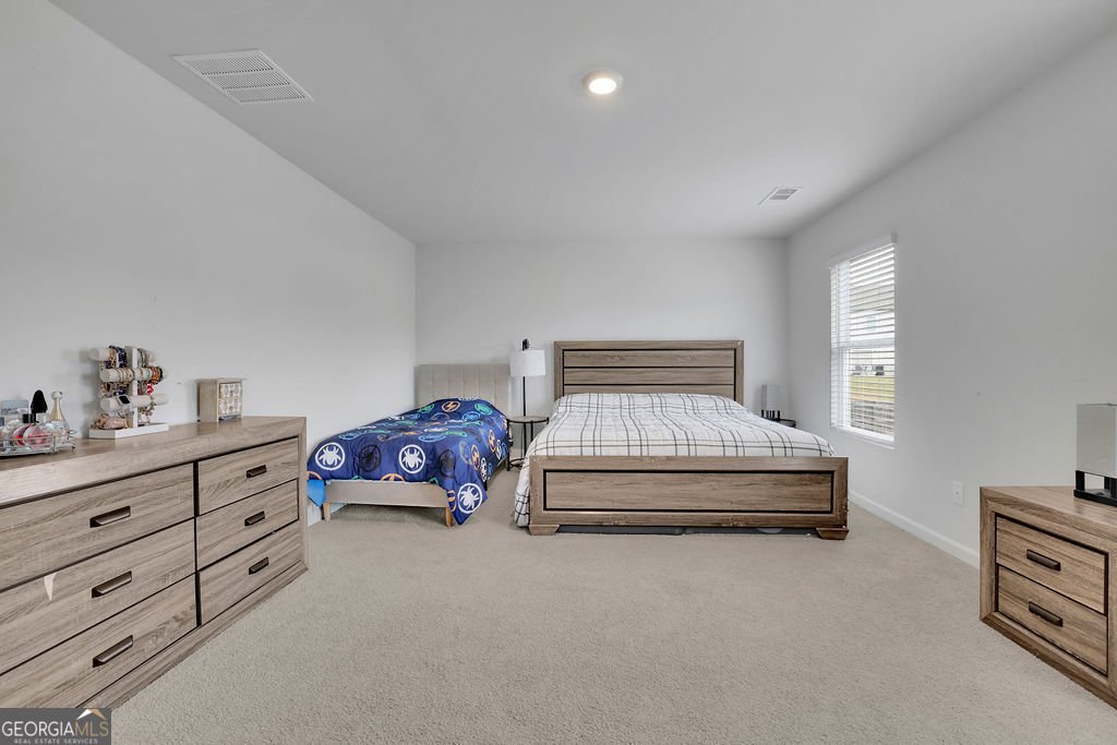 46 Fernbrook Trail Dawsonville - 23