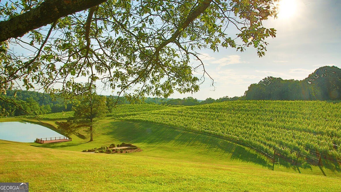 72 Rustin Ridge Dahlonega - 19