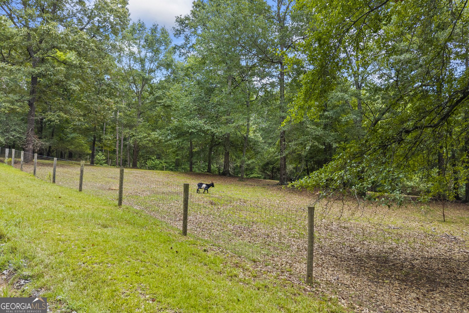 659 Hood Road Newnan - 42