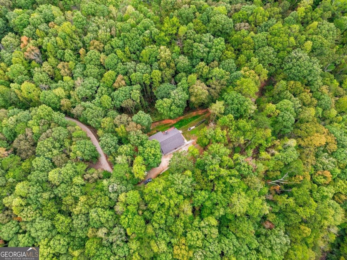 1190 Mill Creek Drive Dawsonville - 44