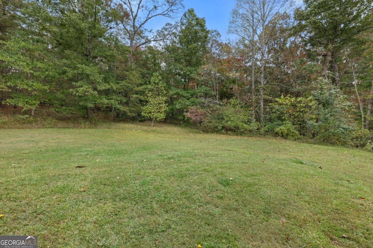 19 Hickory Terrace Blairsville - 26