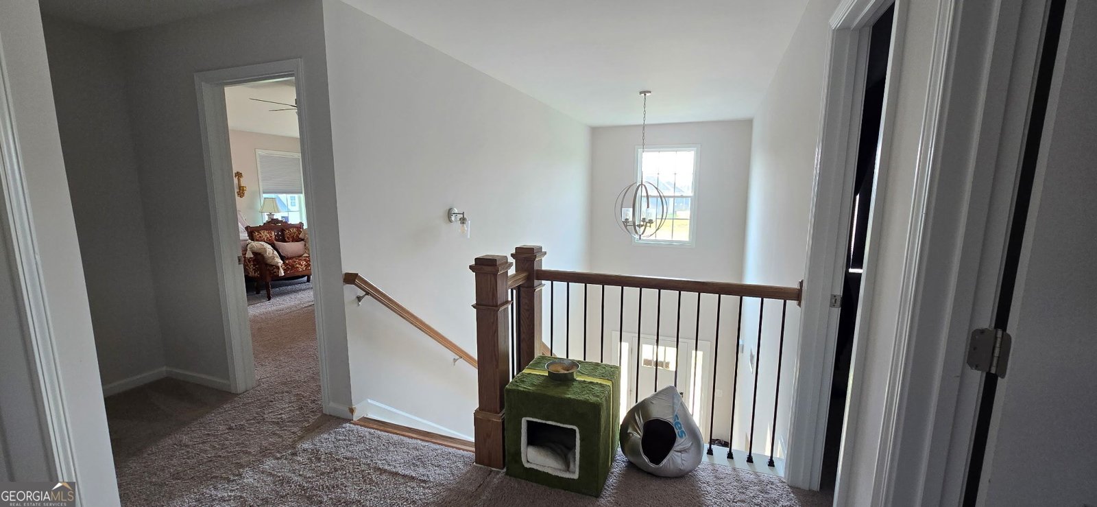 642 McCarley Downs Drive Bonaire - 8