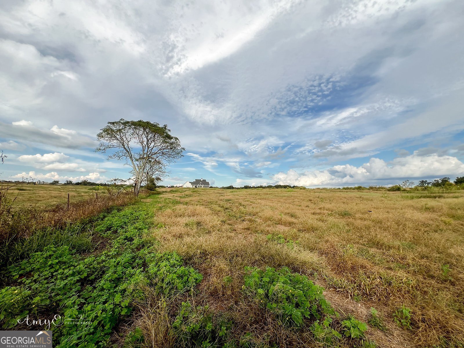 1111 Rocky Creek Road Newborn - 11