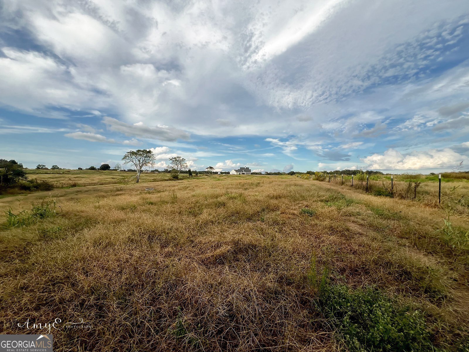 1111 Rocky Creek Road Newborn - 12