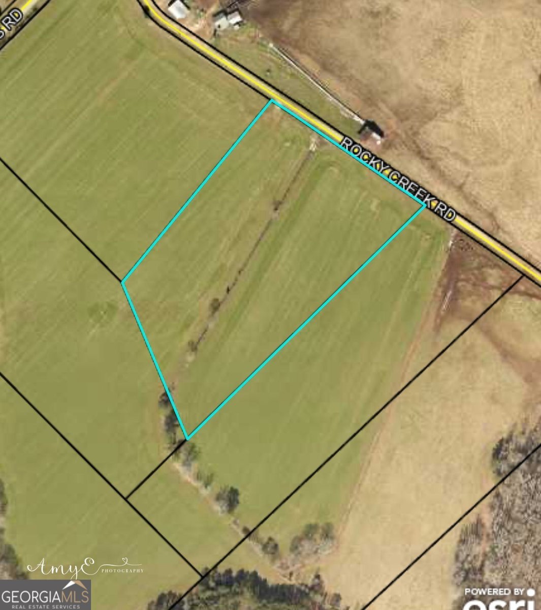 1111 Rocky Creek Road Newborn - 28