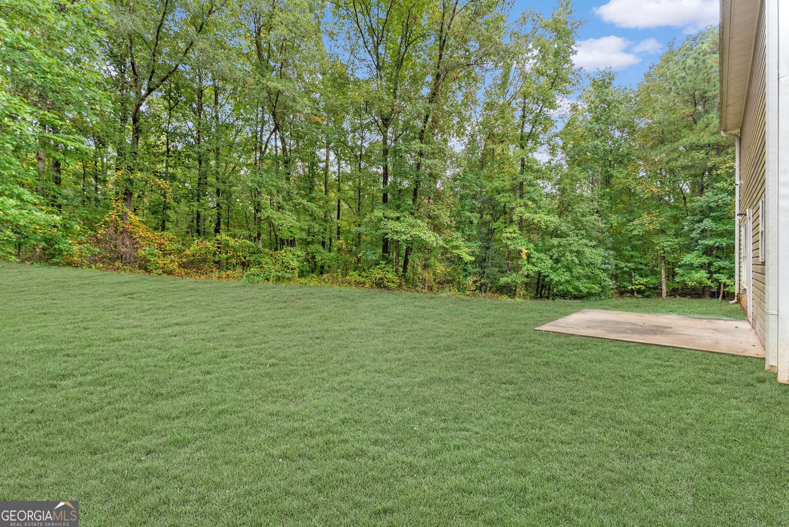 175 Pine Ridge Road Covington - 3
