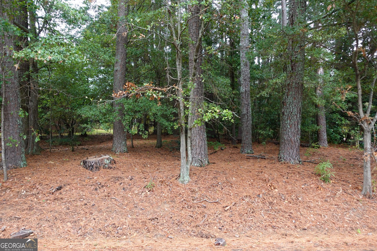 263 Elks Street Winder - 32