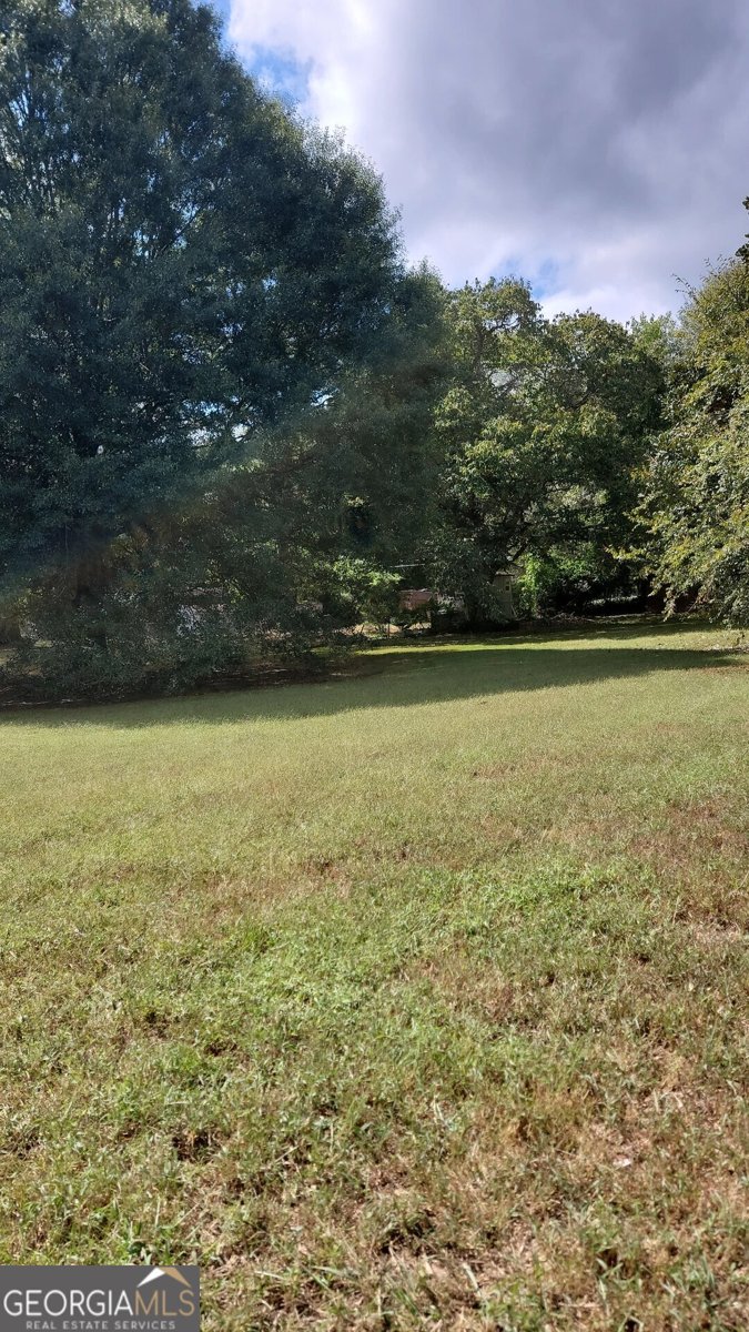 689 Kingsley Drive Lithia Springs - 46