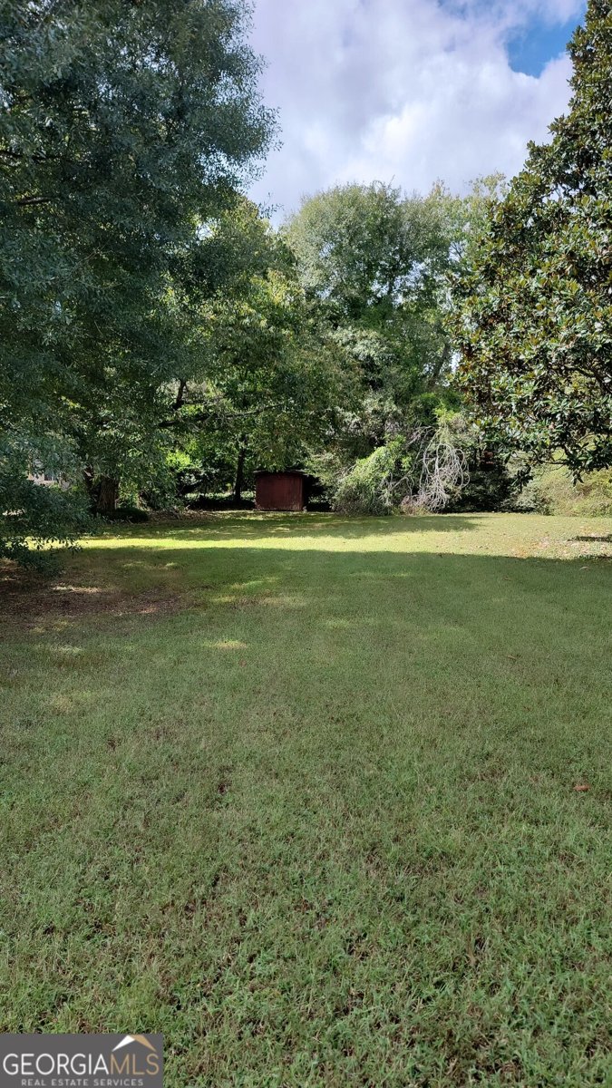689 Kingsley Drive Lithia Springs - 47