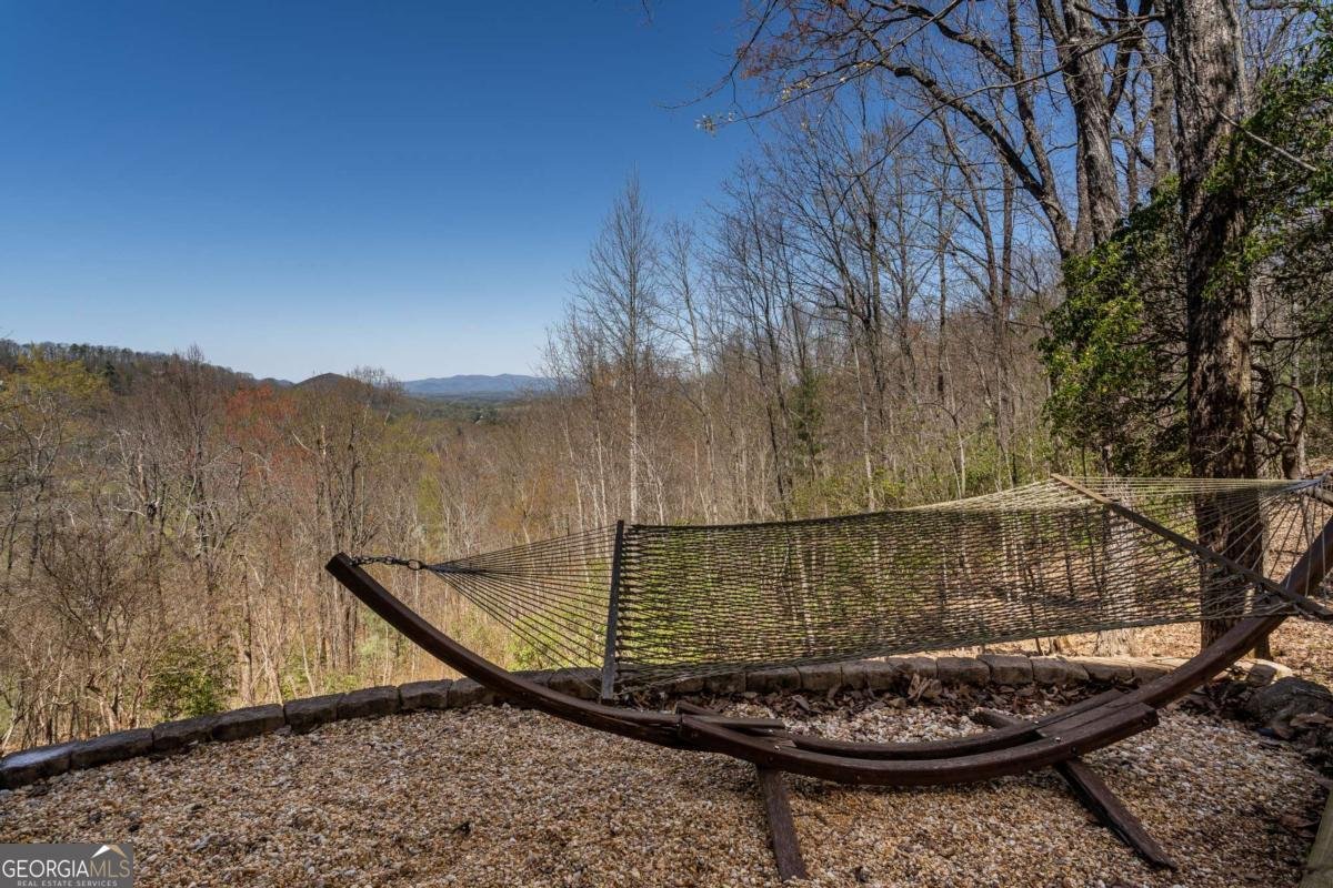 1571 Mangums Trail Blue Ridge - 37
