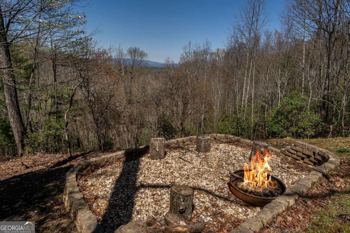 1571 Mangums Trail Blue Ridge - 38