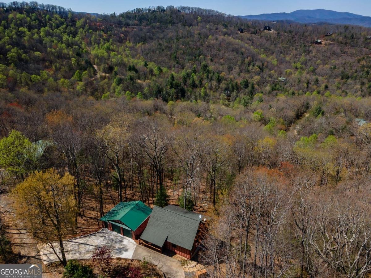 1571 Mangums Trail Blue Ridge - 40