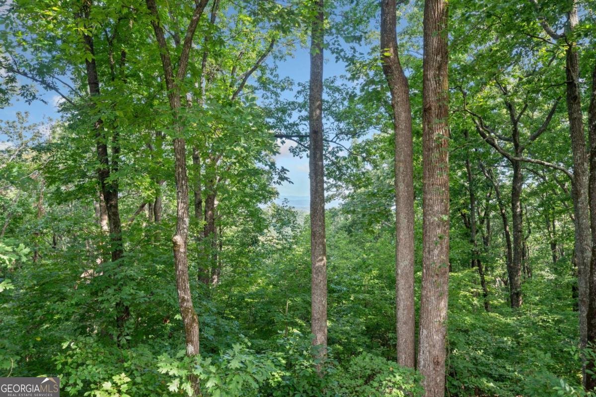 5 Tally Mountain Road Jasper - 41