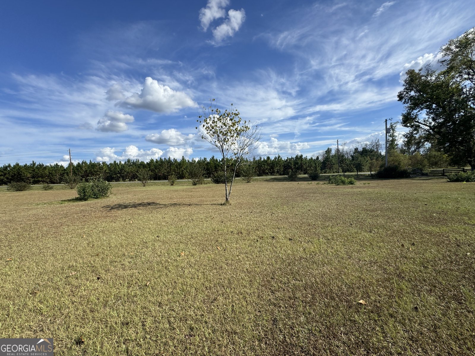 2731 Sawmill Road Ailey - 5