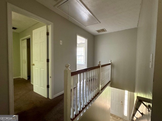 1904 Elm Park Drive Hampton - 10