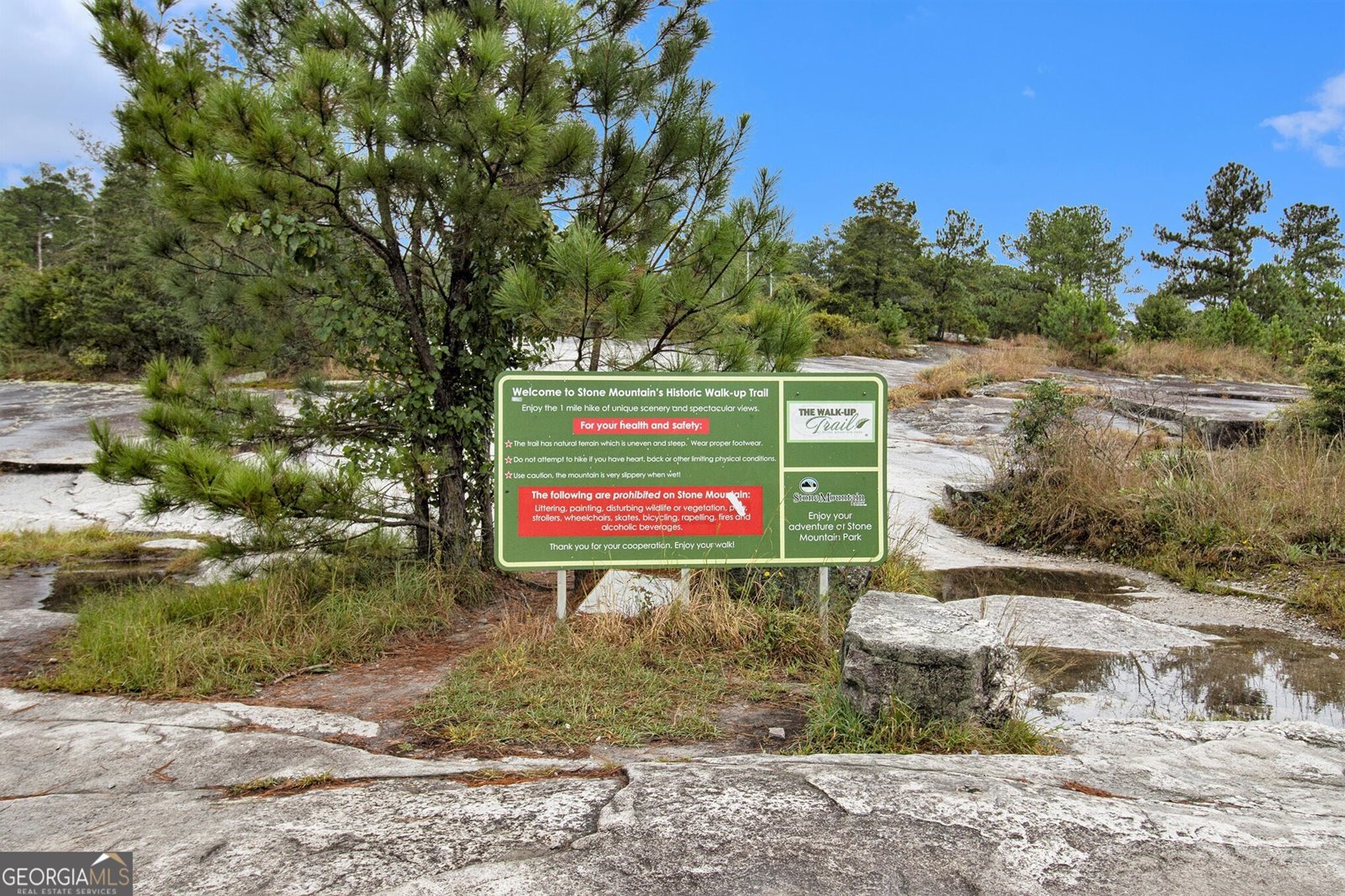 1187 Silver Hill Road Stone Mountain - 39