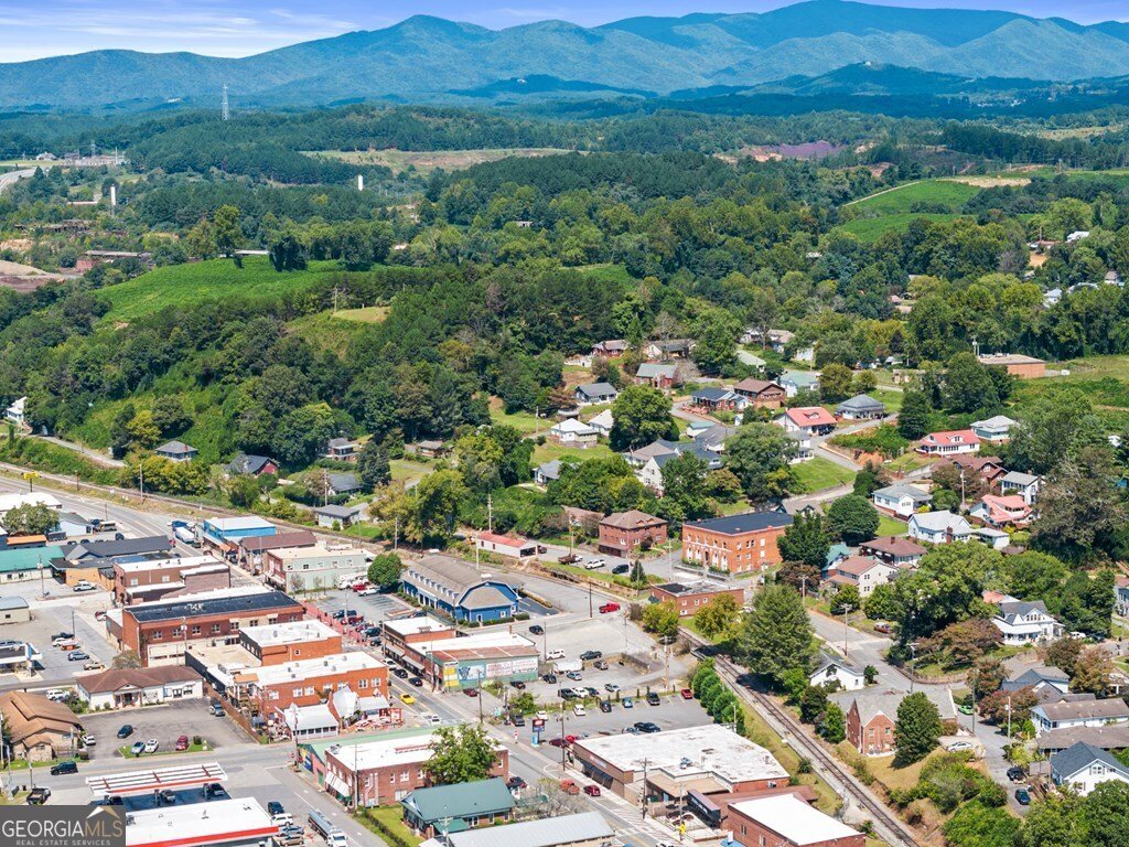 111 Highland Street Copperhill - Photo 34