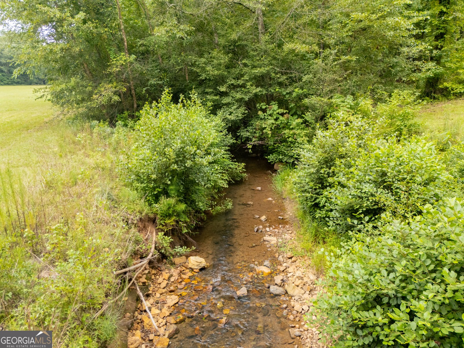 1689 County Road 864 Wadley - 49