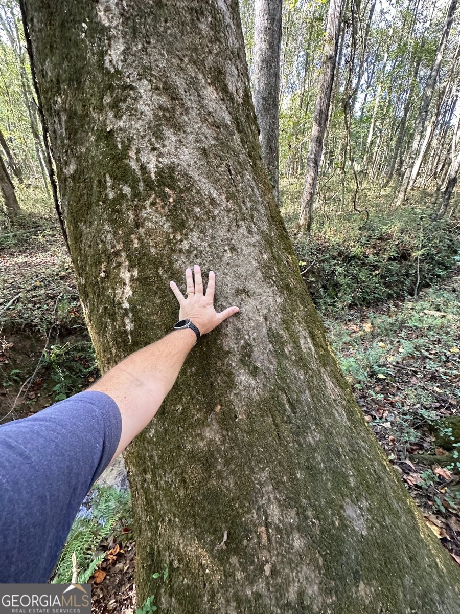 100 Mimosa Road Griffin - 25