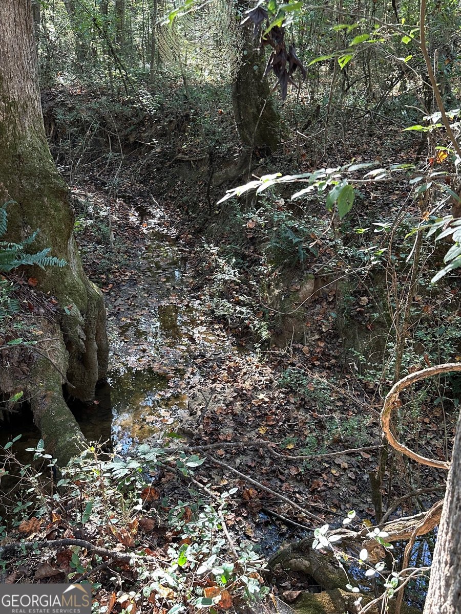 100 Mimosa Road Griffin - 29