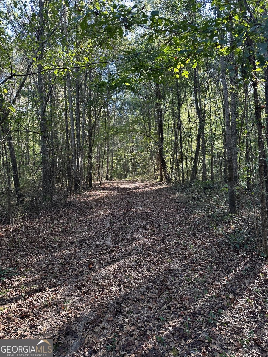 100 Mimosa Road Griffin - 30