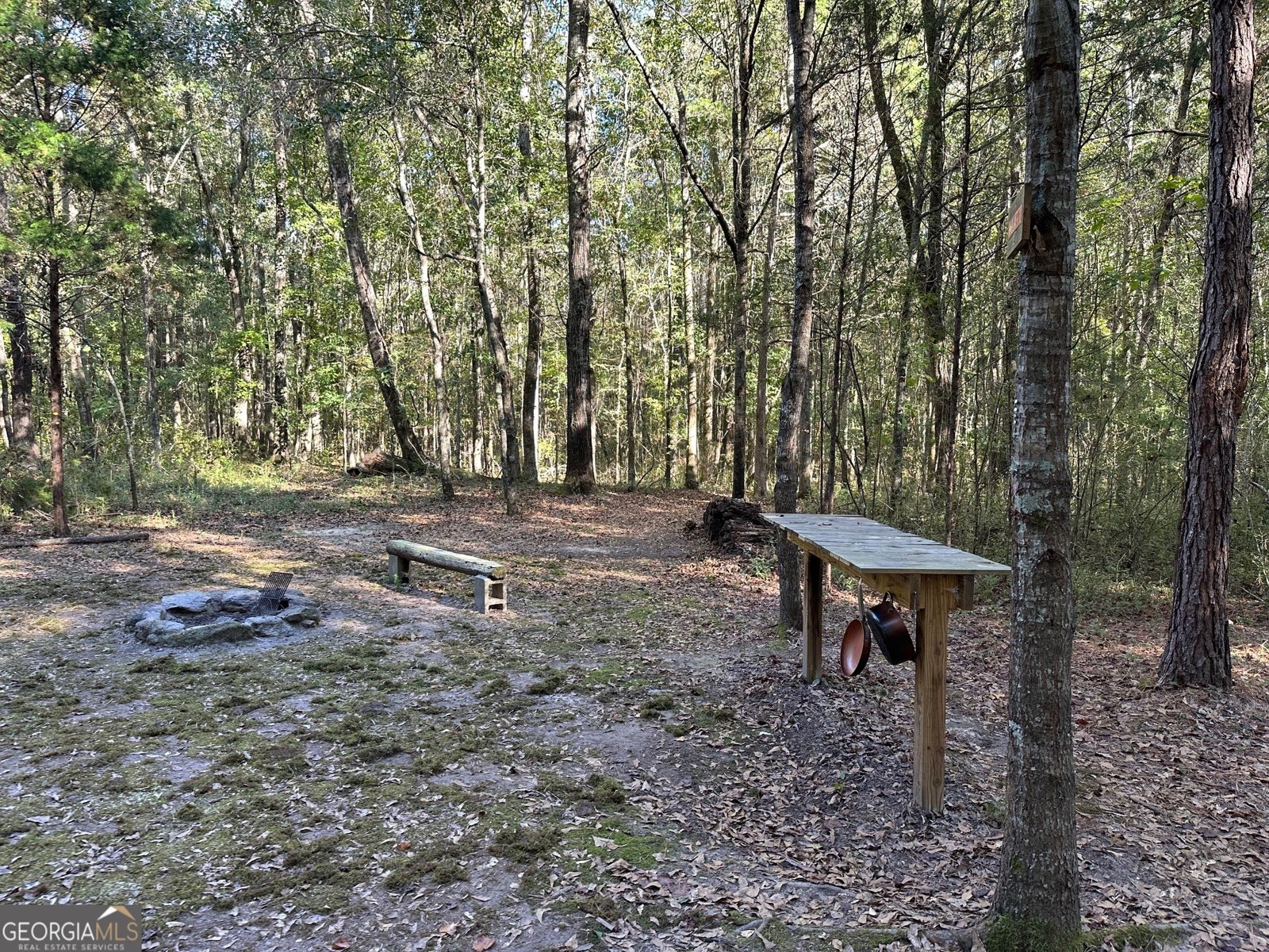 100 Mimosa Road Griffin - 31