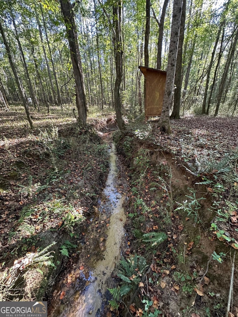 100 Mimosa Road Griffin - 32