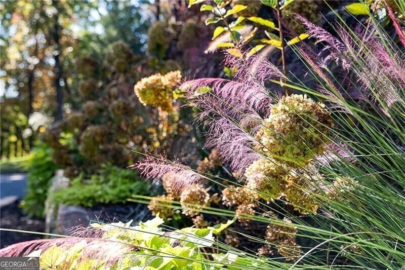 1241 Scenic Drive Blue Ridge - 15