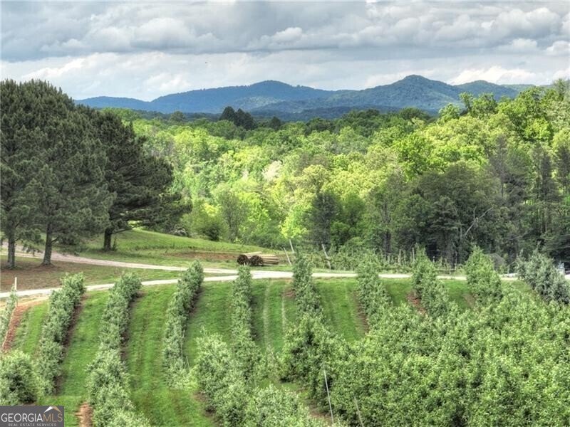 1241 Scenic Drive Blue Ridge - 25