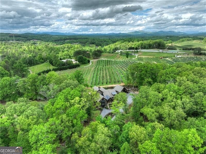 1241 Scenic Drive Blue Ridge - 26