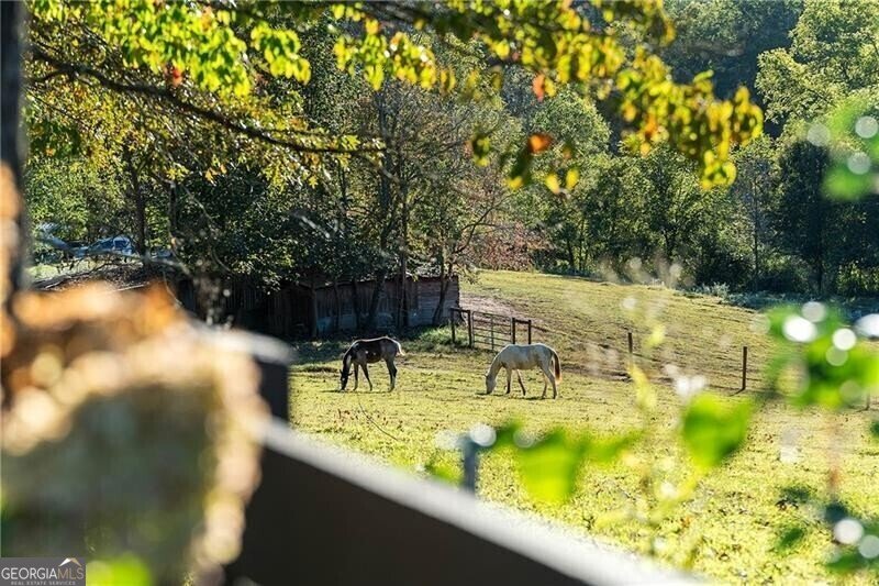 1241 Scenic Drive Blue Ridge - 31