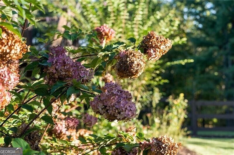 1241 Scenic Drive Blue Ridge - 32