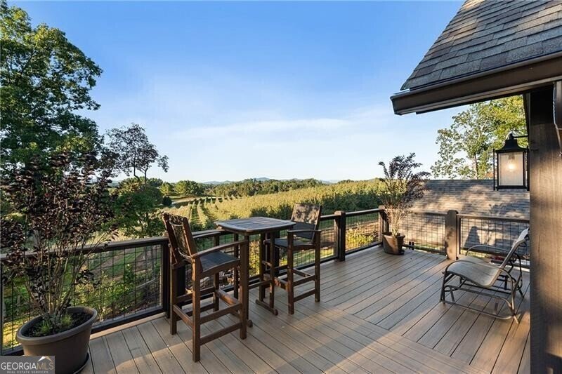 1241 Scenic Drive Blue Ridge - 6