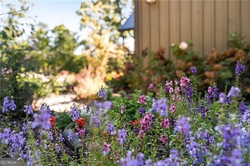 1241 Scenic Drive Blue Ridge - 60