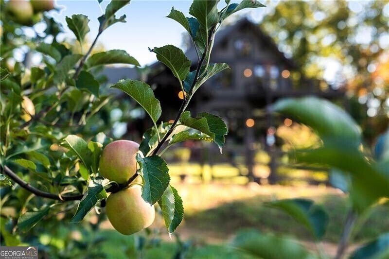 1241 Scenic Drive Blue Ridge - 62