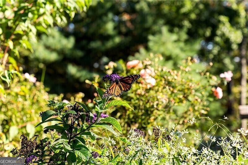 1241 Scenic Drive Blue Ridge - 73