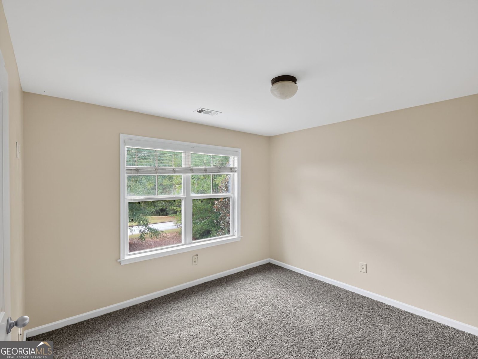 258 Bradshaw Farms Drive Senoia - 26
