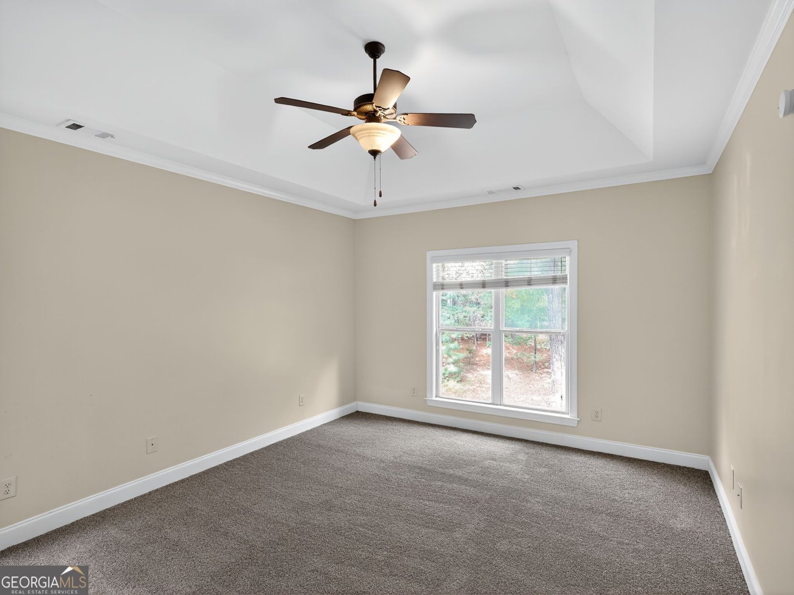 258 Bradshaw Farms Drive Senoia - 28