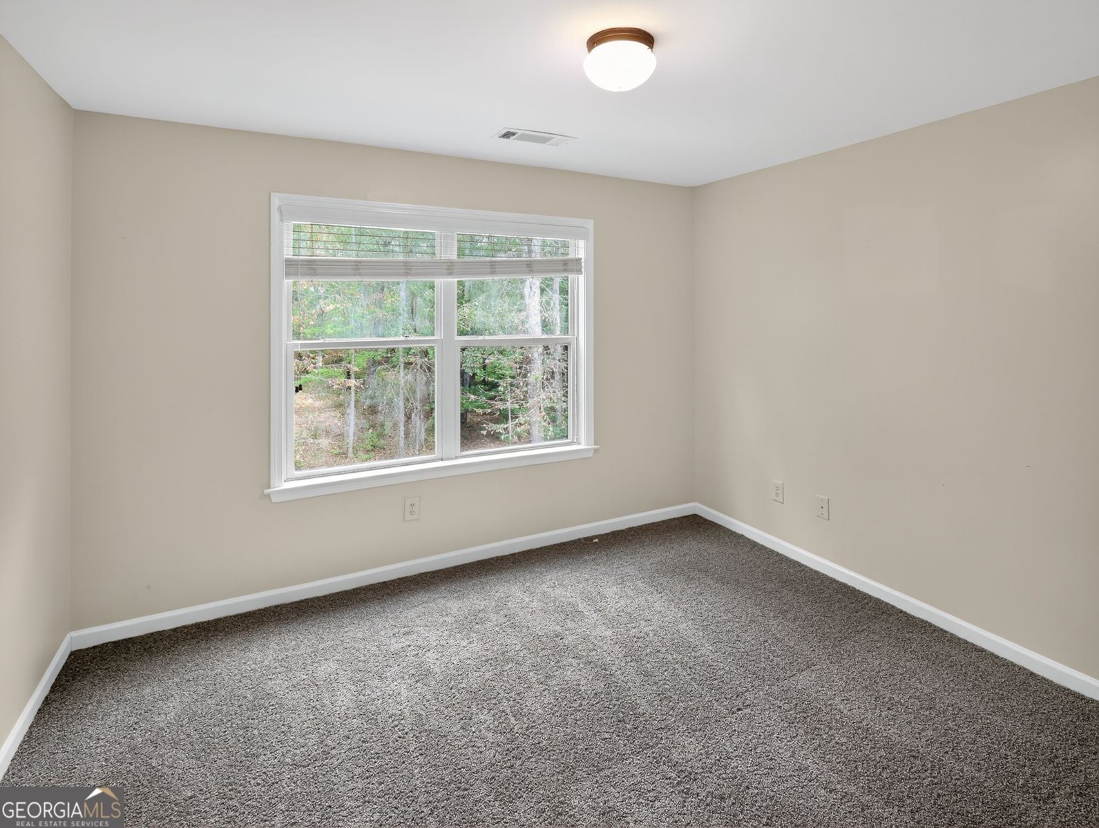 258 Bradshaw Farms Drive Senoia - 31