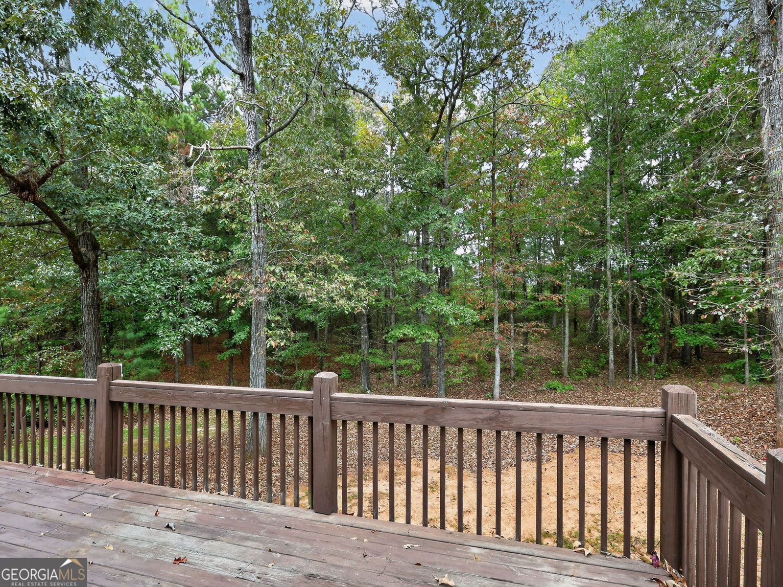 258 Bradshaw Farms Drive Senoia - 39
