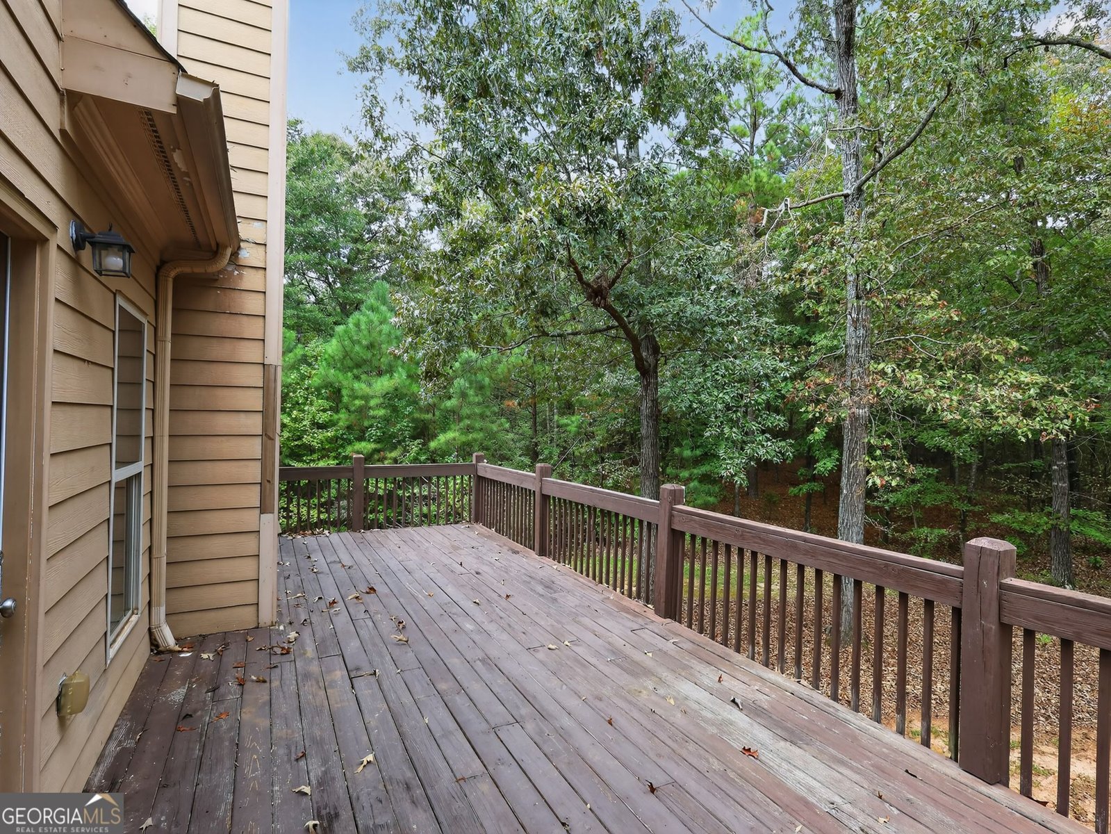 258 Bradshaw Farms Drive Senoia - 40