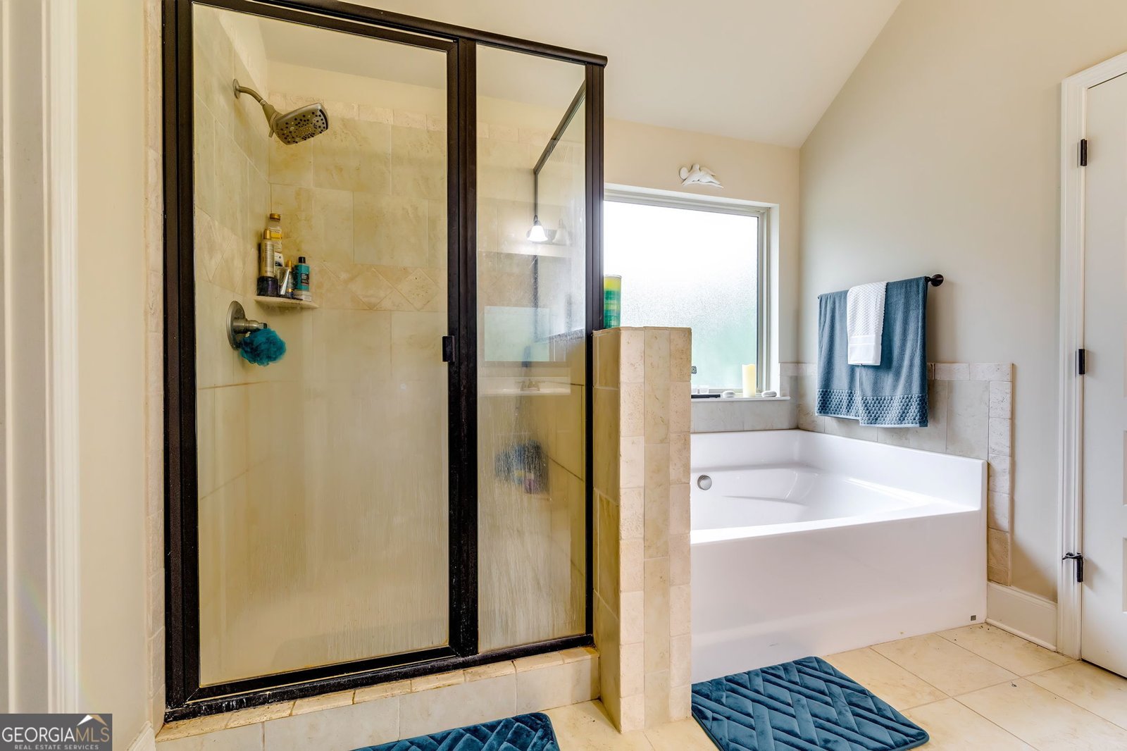 116 Way Point Drive Stockbridge - 19