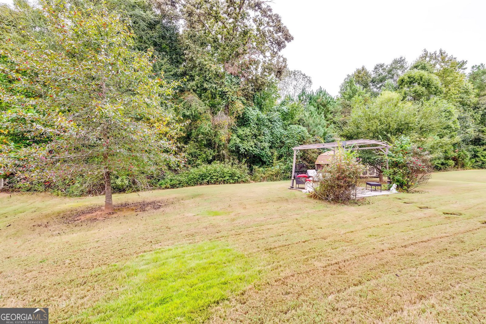 116 Way Point Drive Stockbridge - 32
