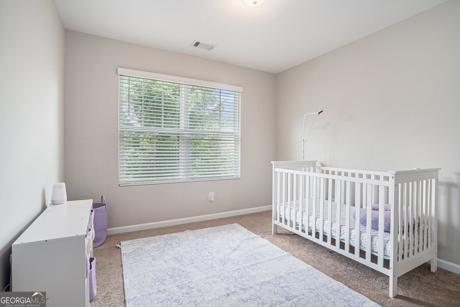2039 Wildflower Way Conyers - 20