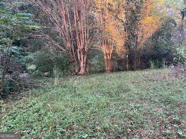 3710 Highway 155 Stockbridge - 10